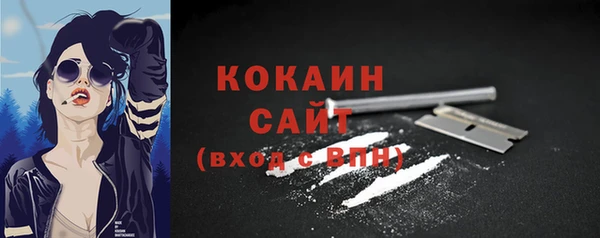 сатива Каменск-Шахтинский