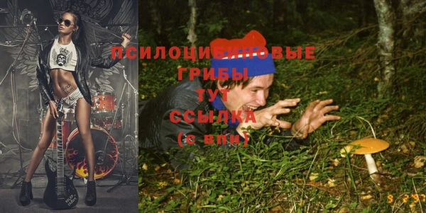 твердый Каменка